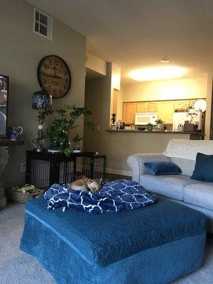 Living space with Kitchen in back ground.