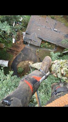 120 feet up on a Douglas Fir removal.