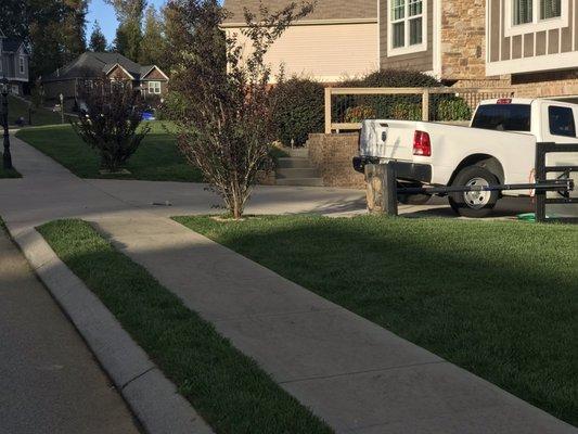 Front yard. Fantastic grass. Even the difficult spots like between the sidewalk and street.