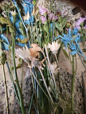 Dead flowers that were delivered to my mom on Mother's Day from the Edible Arrangements  in Lewes, Delaware