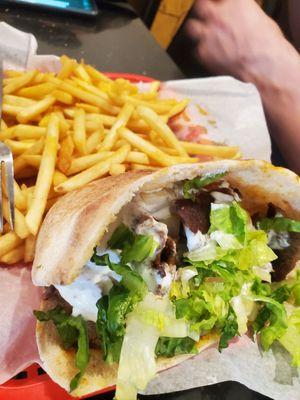 Gyro Sandwich and Fries