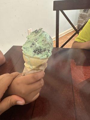 Mint chocolate chip!