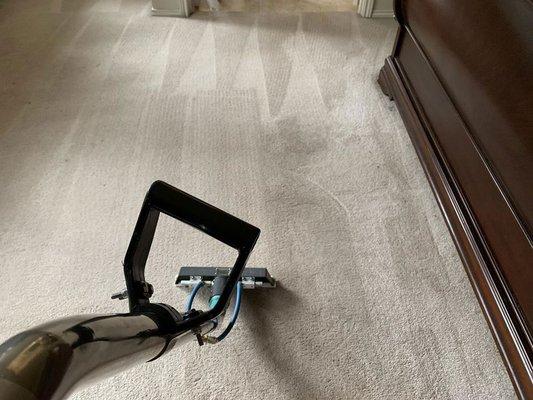 Carpet Cleaning