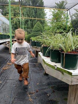 Dutch and Olgas Greenhouses