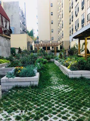 Small green garden on Avenue C