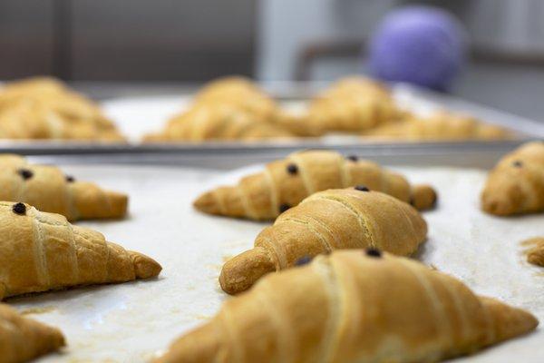 FRESH 
CHOCOLATE CROISSANT