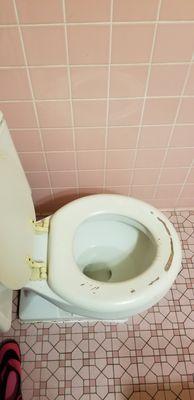 Nasty toilet