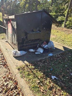 Not only did they leave the 3 weeks worth of trash that we had to clean up, they sat the dumpster back down ON TOP OF THE TRASH?!?