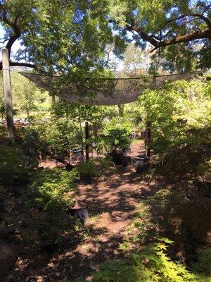 Tons of plants for sale ... blends into the natural setting.