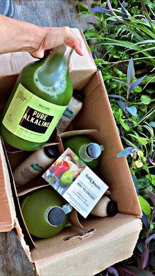 3-day Alkaline Cleanse