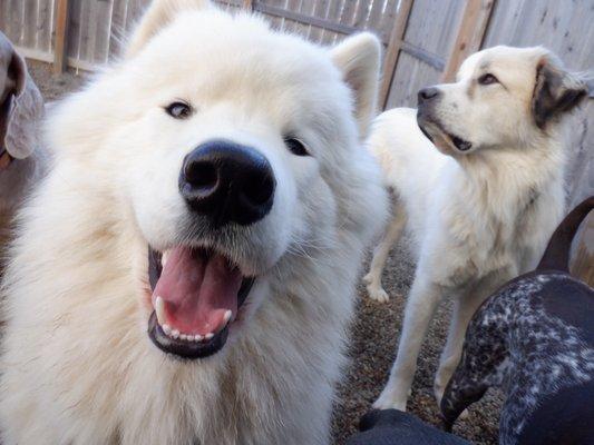 In the play yard