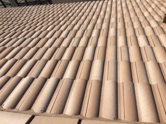 Tiled Roof After Cleaning