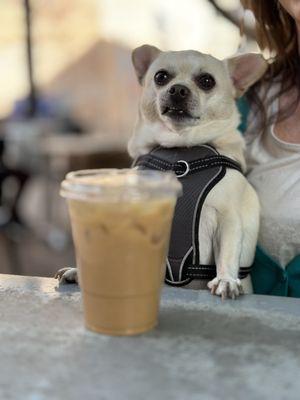 Dog friendly patio!