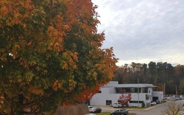 Leith VW of Cary in the Fall...