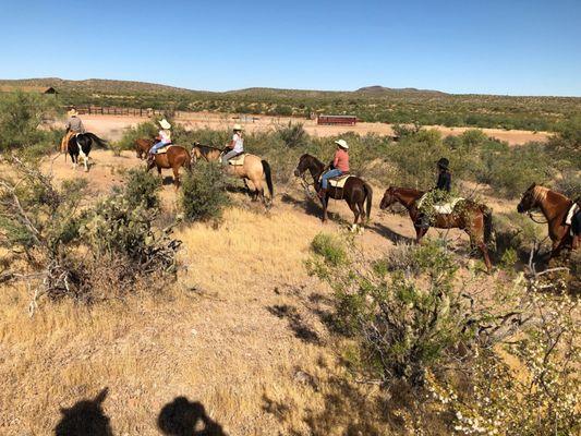 Horseback Riding