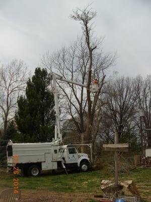 Dangerous removal around power lines. We got you covered!