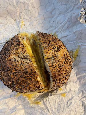 Bagels & Co - 05/15/24 - Turkey SEC everything bagel $8.75