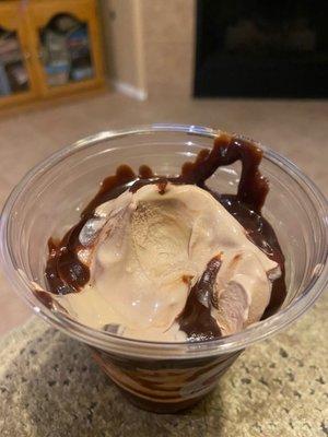 This is a regular size chocolate custard with hot fudge sunday