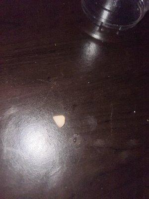 Found this in my pizza