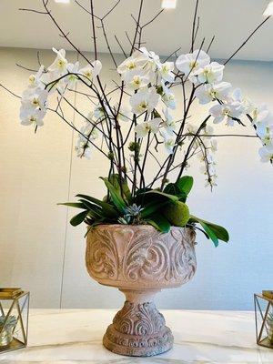 This week flowers: orchids!