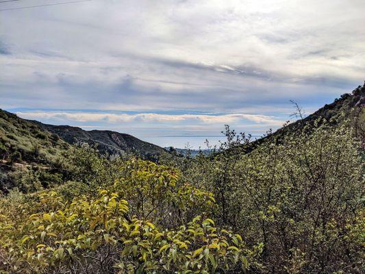 A view to the Pacific ocean