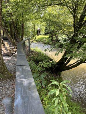 View up the creek