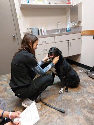 First Colony Veterinary Clinic