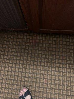 Stained carpet