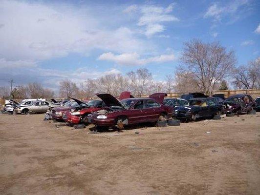 Western Auto Recycling Yard