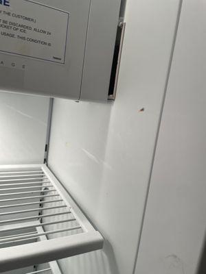 Dirty refrigerator AFTER AB cleaning services finish my deep cleaning appointment