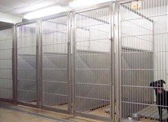 Large spacious dog kennels