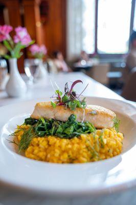 Fresh Fish, seasonal catch, sweet carrot infused risotto, sauteed spinach