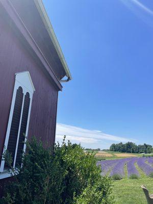 Barn market