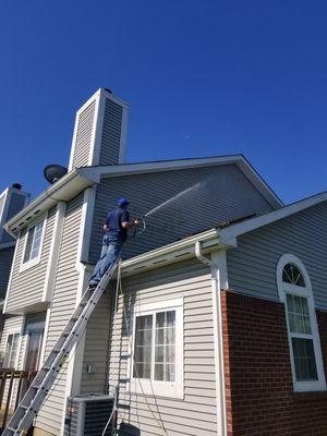 Removing algae from vinyl siding