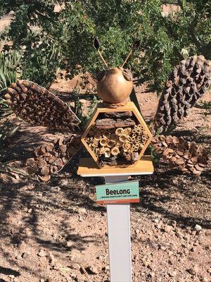 Fountain Hills Desert Botanic Garden