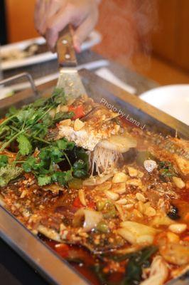 Barramundi (2 lb) with Garlic Flavor 蒜香味西曹 ($49.95) and Golden Combination 黄金组合 ($10: enoki, lotus, potato, kelp)