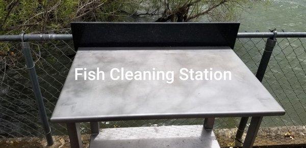 Fish Cleaning