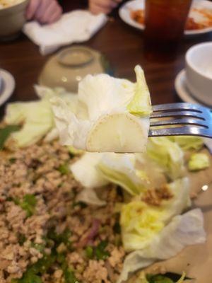 Larb comes with lettuce. Its a lettuce wrap and this is ridiculous