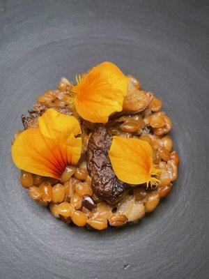 Farro risotto with crispy oyster mushrooms