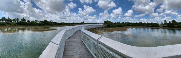 Wetland view