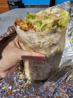 Another pic of huge meatless burrito