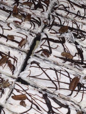 Mississippi mud brownies