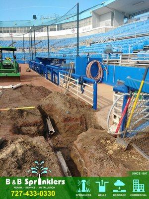 Commercial landscape irrigation at the Toronto Blue Jays Field in Dunedin Florida