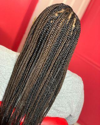 Knotless Braids- Multi Dimensional Color added