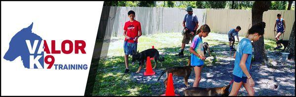 Valor K9 Training