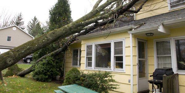 When disaster strikes, you Need a Hero! Call us today and we'll rescue you and your home from the destructive hand of mother nature!