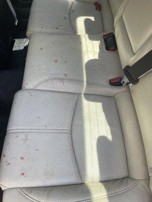 The blood on my backseat from her paw.