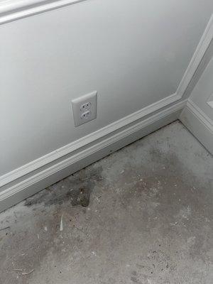 Interior moisture