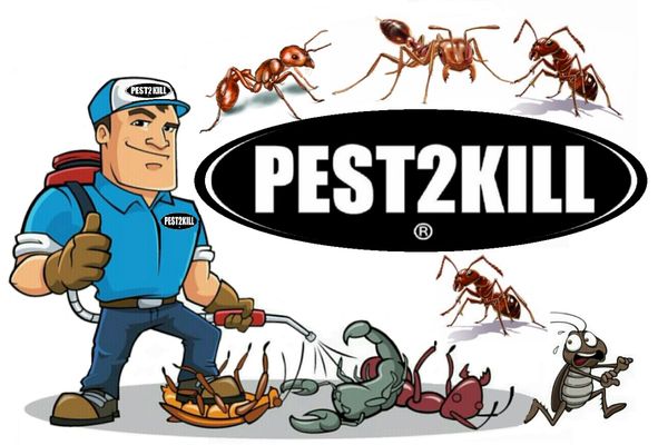 Pest2kill Exterminating