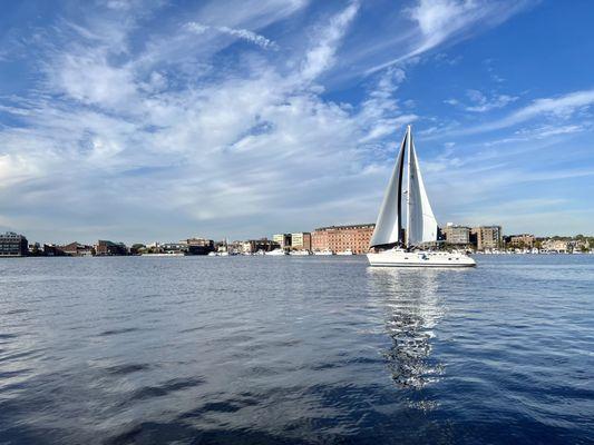 View while on the water taxi